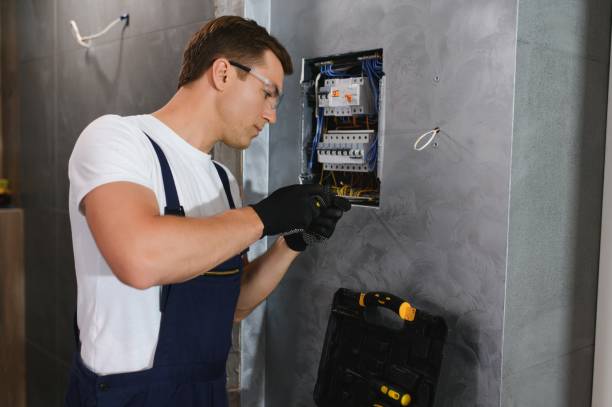 Best Electric Panel Repair  in Magnolia, OH